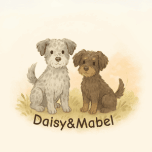 Schnoodles side by side