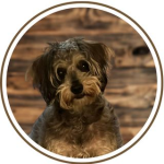 jpeg optimizer Mabel Website Profile Pic 1